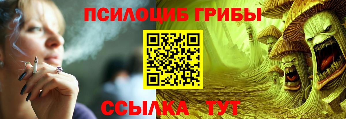 Псилоцибиновые грибы Psilocybine cubensis Рузаевка